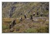 27/IMG_1378 site1.jpg